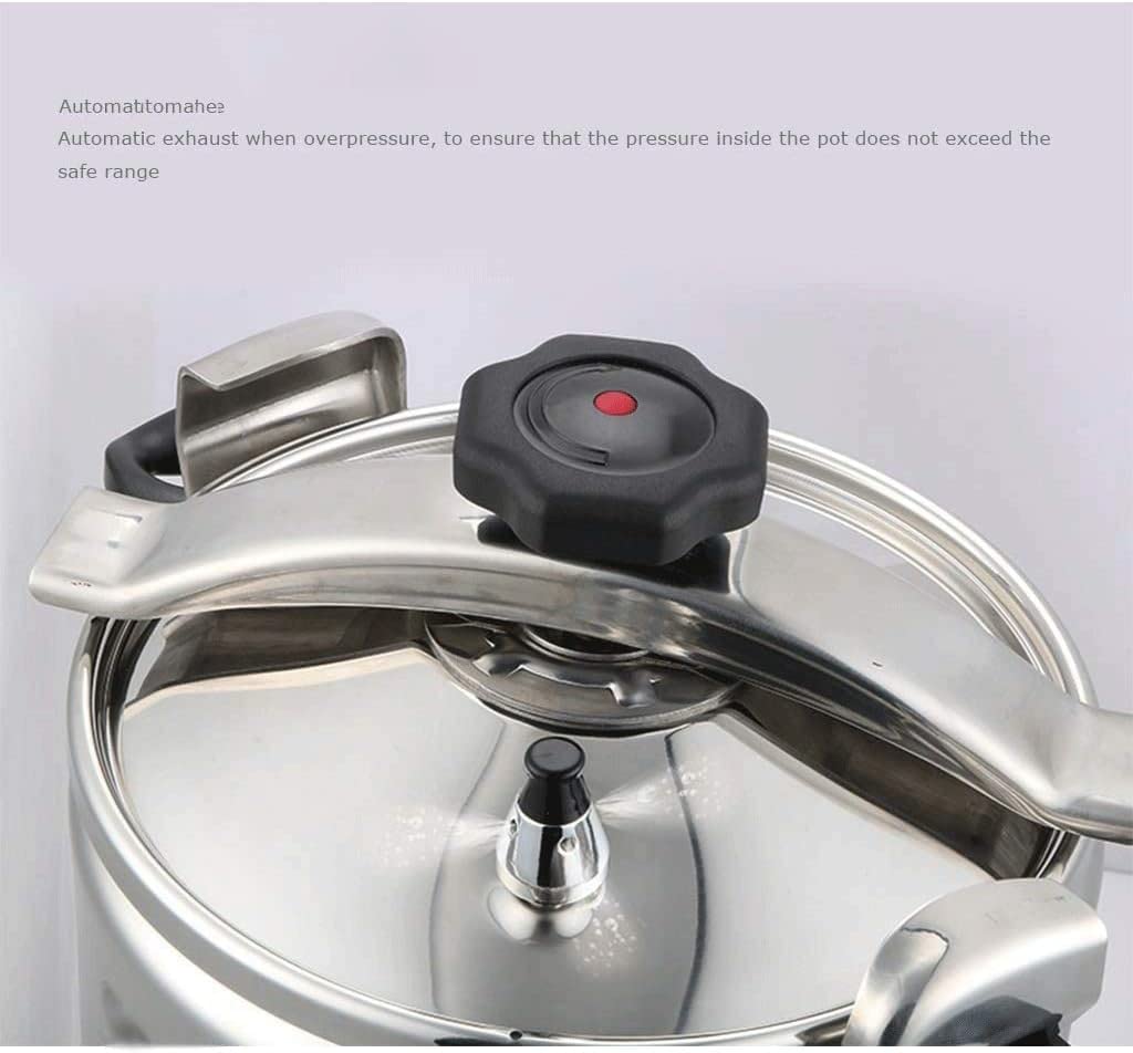 Stainless Steel 3L Electric Pressure Cooker G14450