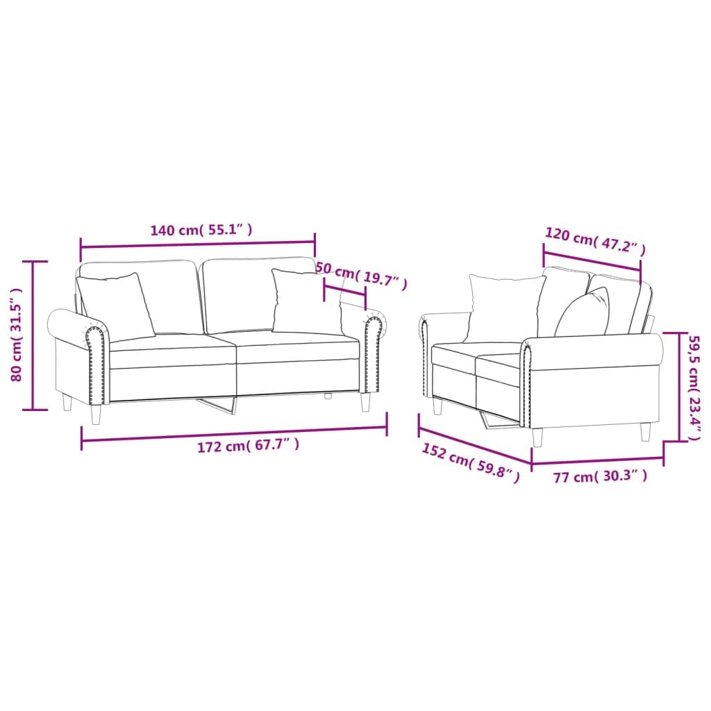 Light Gray Velvet 2 Piece Sofa Set with Pillows N3702