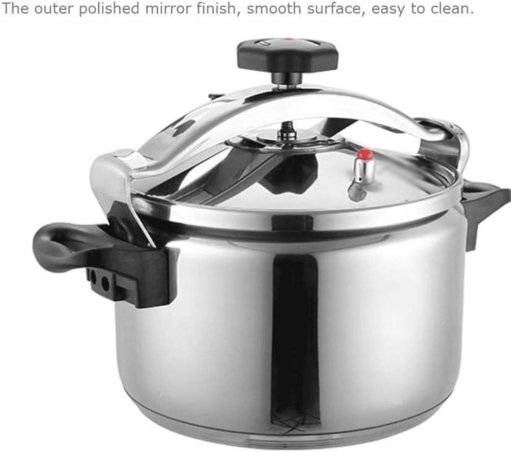 Stainless Steel 3L Electric Pressure Cooker G14450