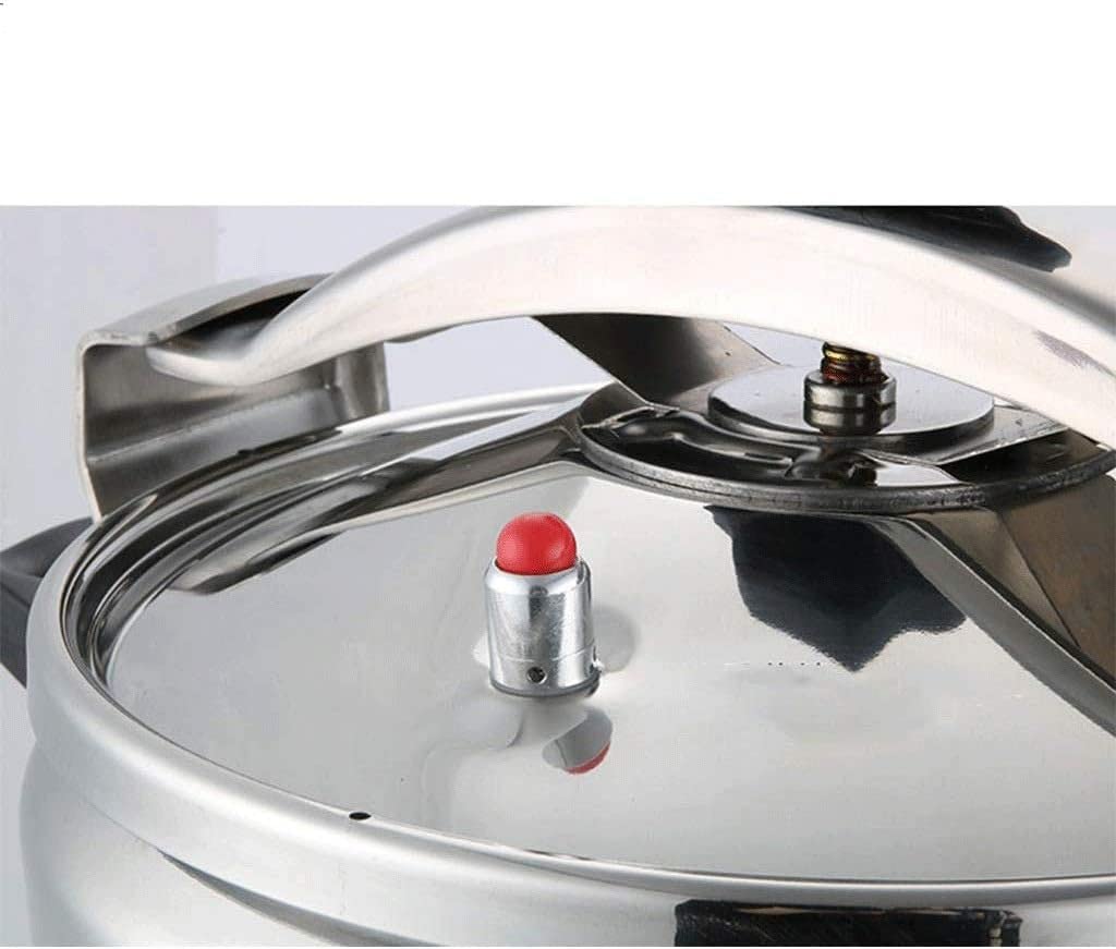 Stainless Steel 3L Electric Pressure Cooker G14450