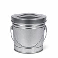 6 Gallon Galvanized Steel Can with Locking Lid E2921