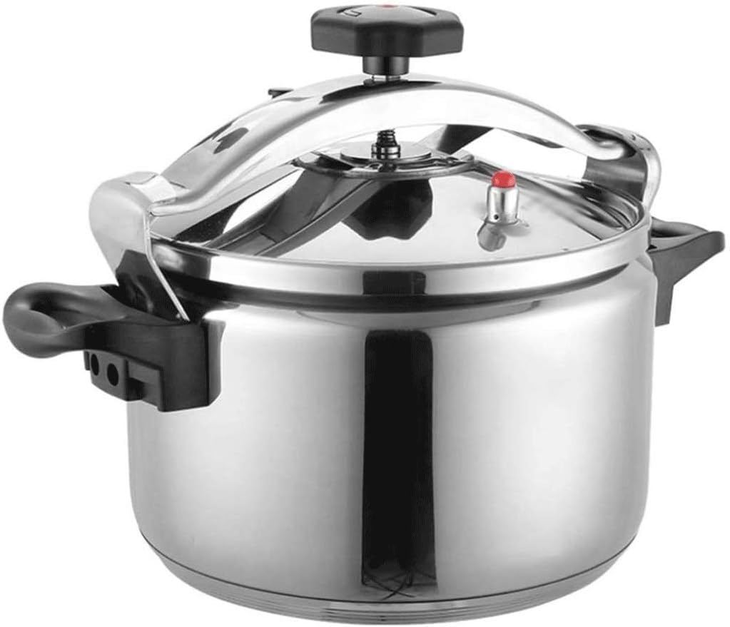 Stainless Steel 3L Electric Pressure Cooker G14450