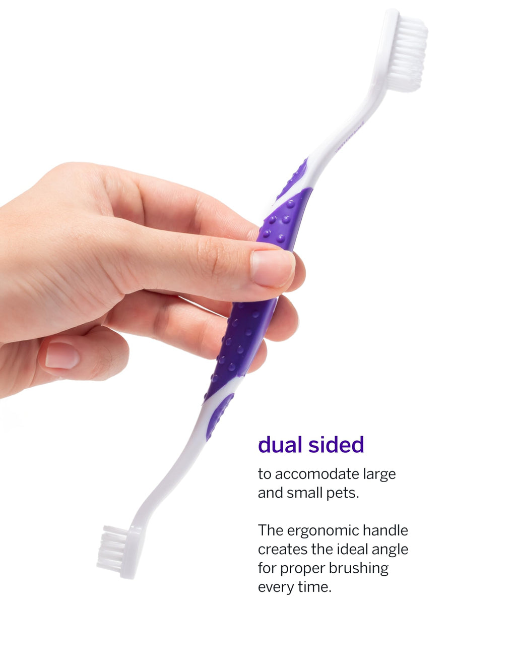 Pet Toothpaste and Brush Kit 2.5 Oz Q512107