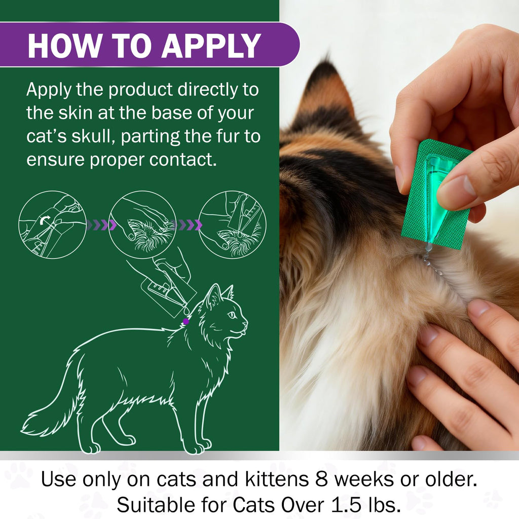 Cat Flea and Tick Prevention 6-Month Supply P95147