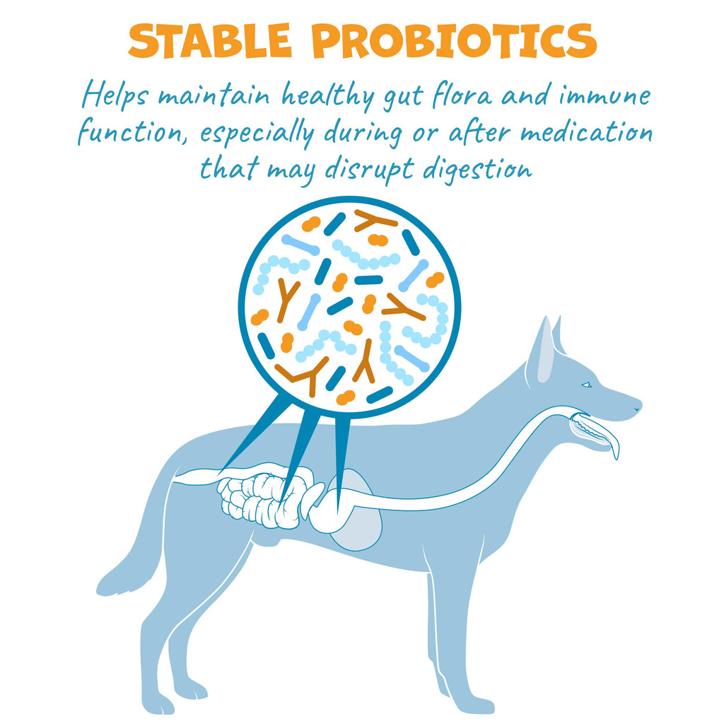 Probiotic Bacon Pill Wrap for Dogs 4.2oz K1425