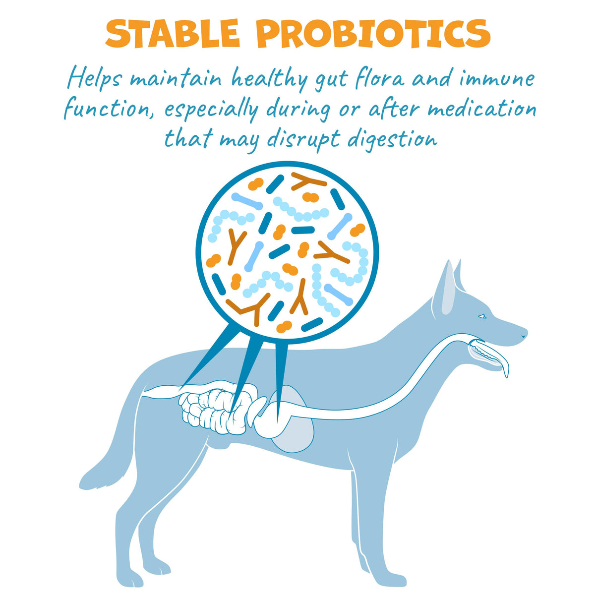 Probiotic Bacon Pill Wrap for Dogs 4.2oz K1425