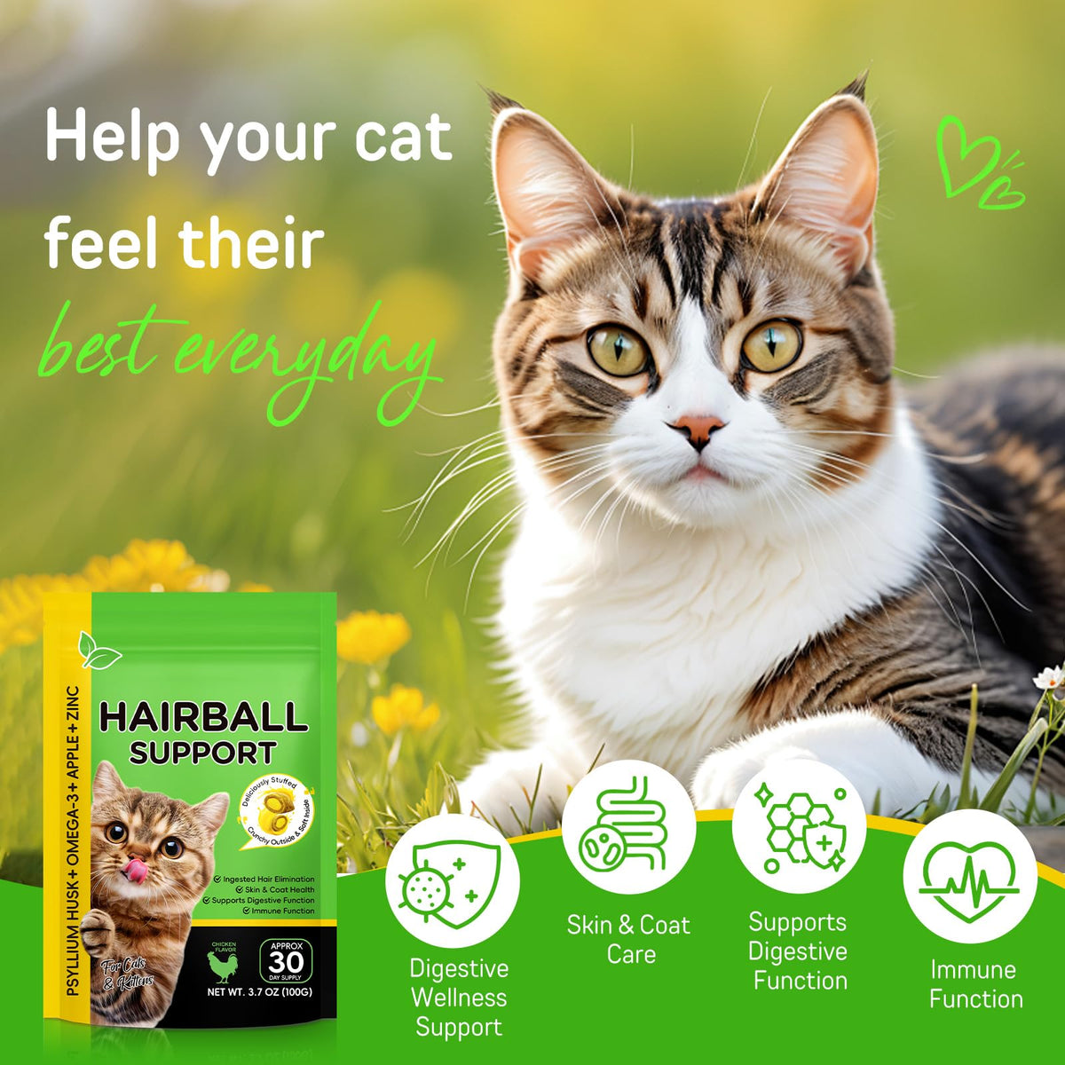 Chicken Flavor Hairball Treatment for Cats F869