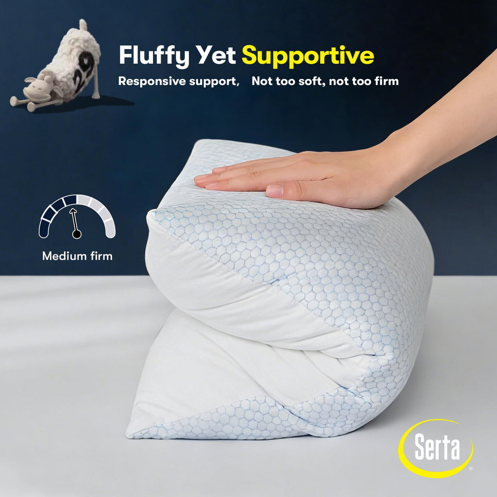 Queen Size Down Alternative Pillows Set of 2 H553981