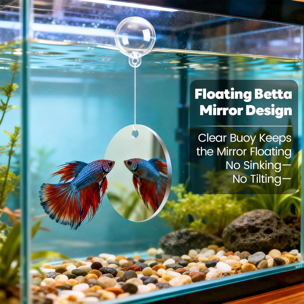 Betta Fish Tunnel Hammock Mirror Floating Ball 2 Training Ring Toys I9460