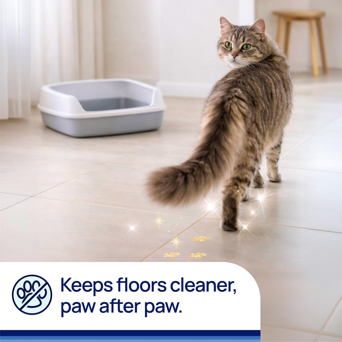 Unscented Non-Clumping Crystal Cat Litter, 7 lb P2320