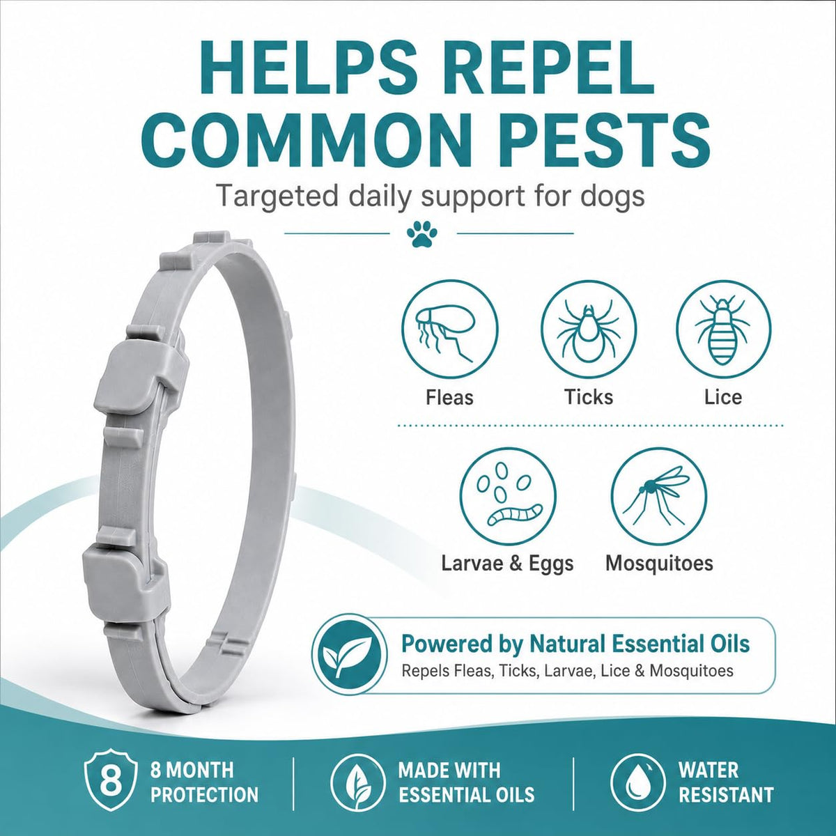 Flea and Tick Collar for Dogs, 4 Pack, Small Dogs Under 18 lbs I447209