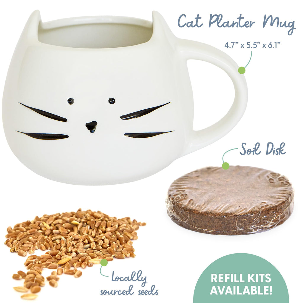 Organic Cat Grass Growing Kit with Seed Mix Soil and White Planter J126452