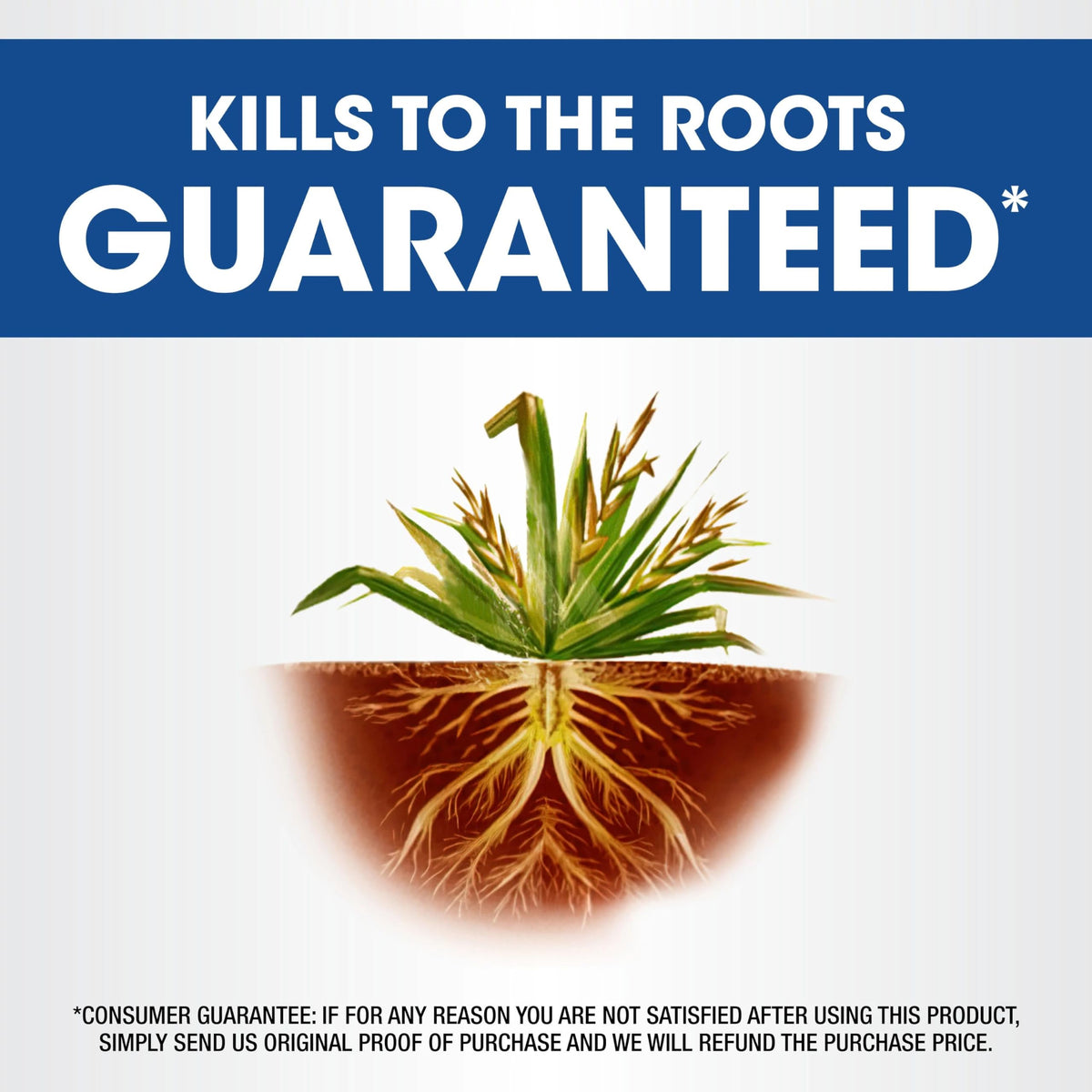2.5 gal Concentrate Weed & Grass Killer B36400