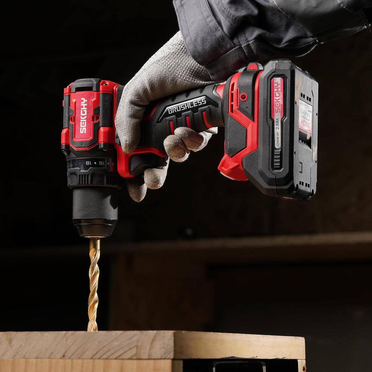 20V Cordless Drill Driver Kit with 2 Batteries Y24756
