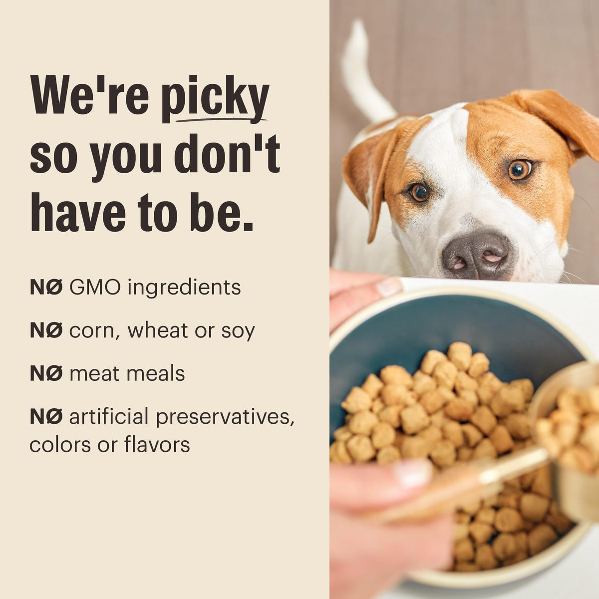 Grain Free Chicken Dry Dog Food, 4 lb Bag L48394