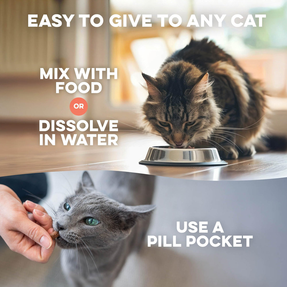 Mange Support for Cats 400 Pills I7912