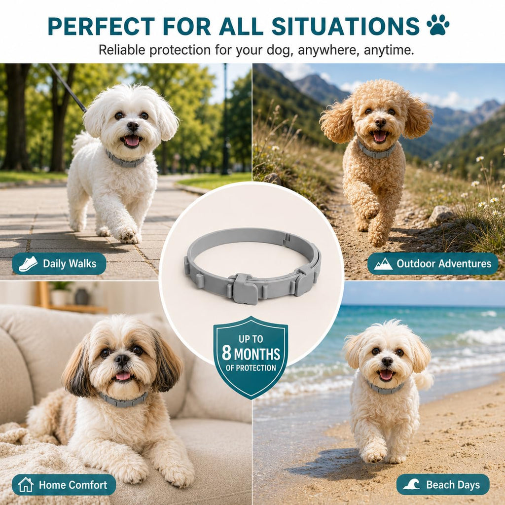 Flea and Tick Collar for Dogs, 4 Pack, Small Dogs Under 18 lbs I447209