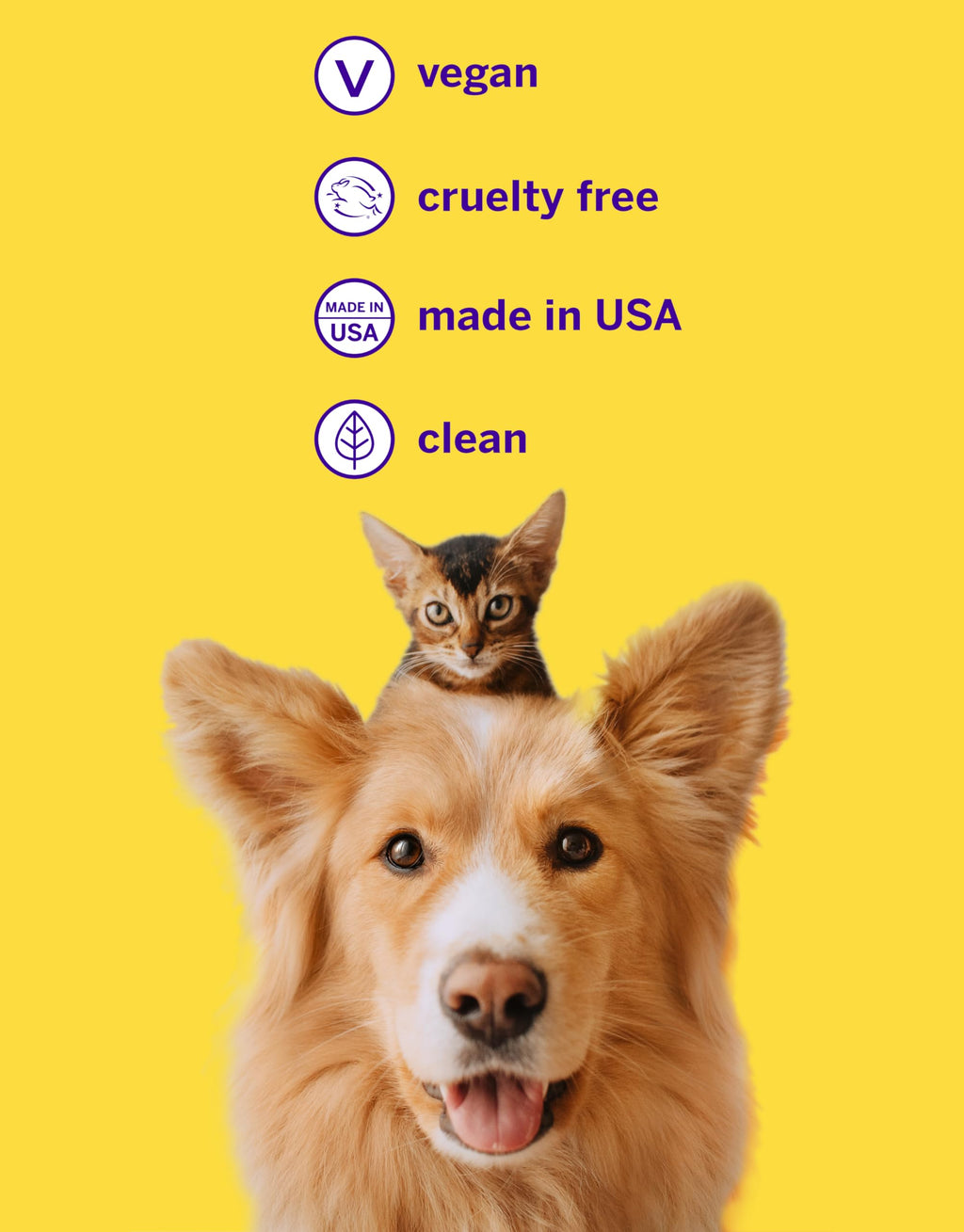 Pet Toothpaste and Brush Kit 2.5 Oz Q512107