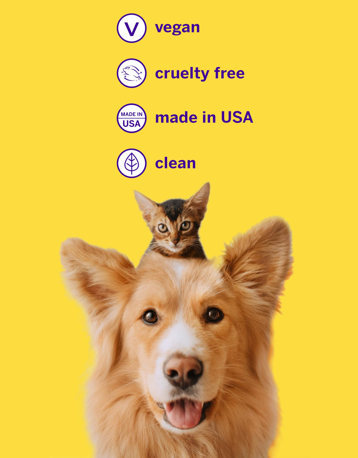 Pet Toothpaste and Brush Kit 2.5 Oz Q512107