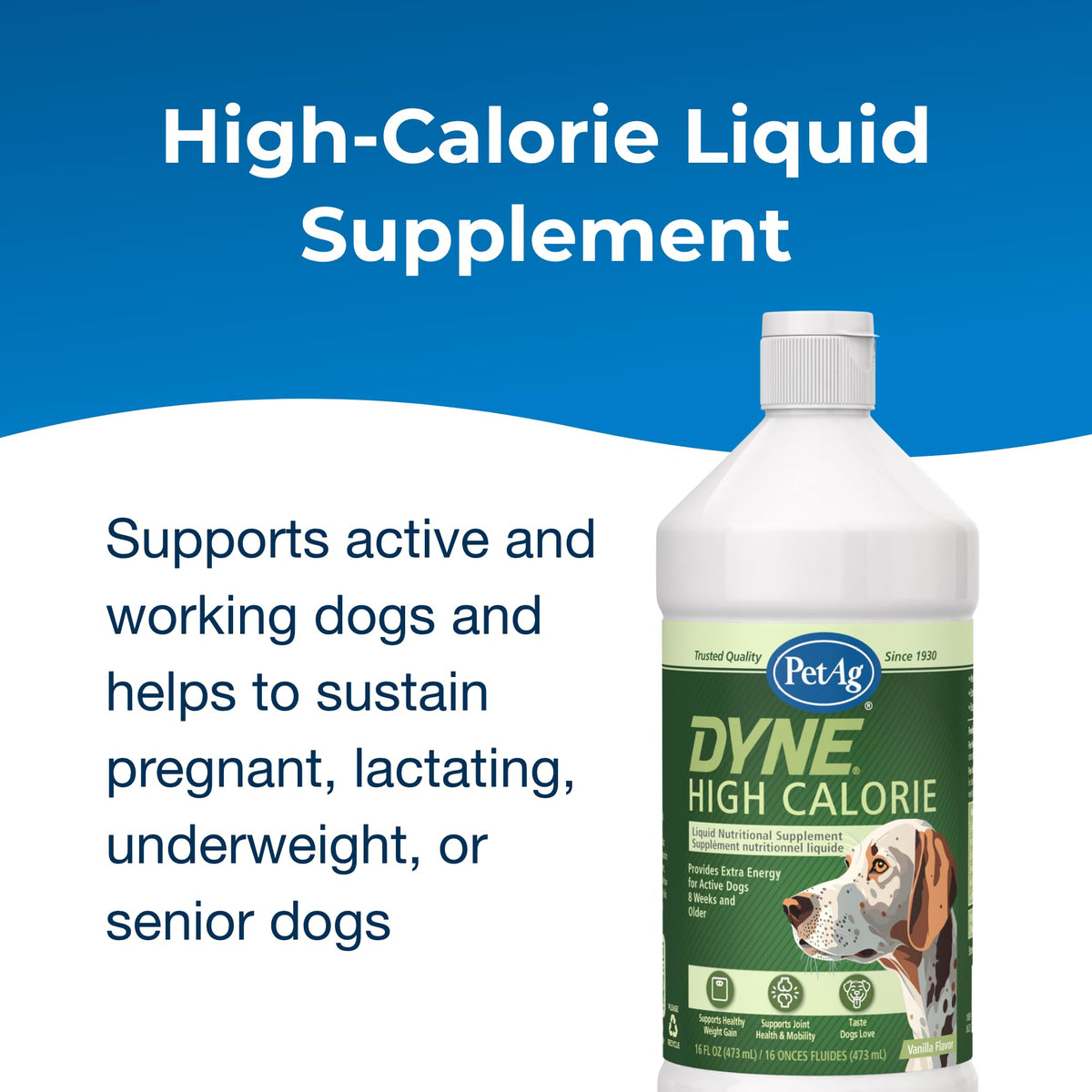High Calorie Liquid Nutritional Supplement for Dogs & Puppies 16 oz K883