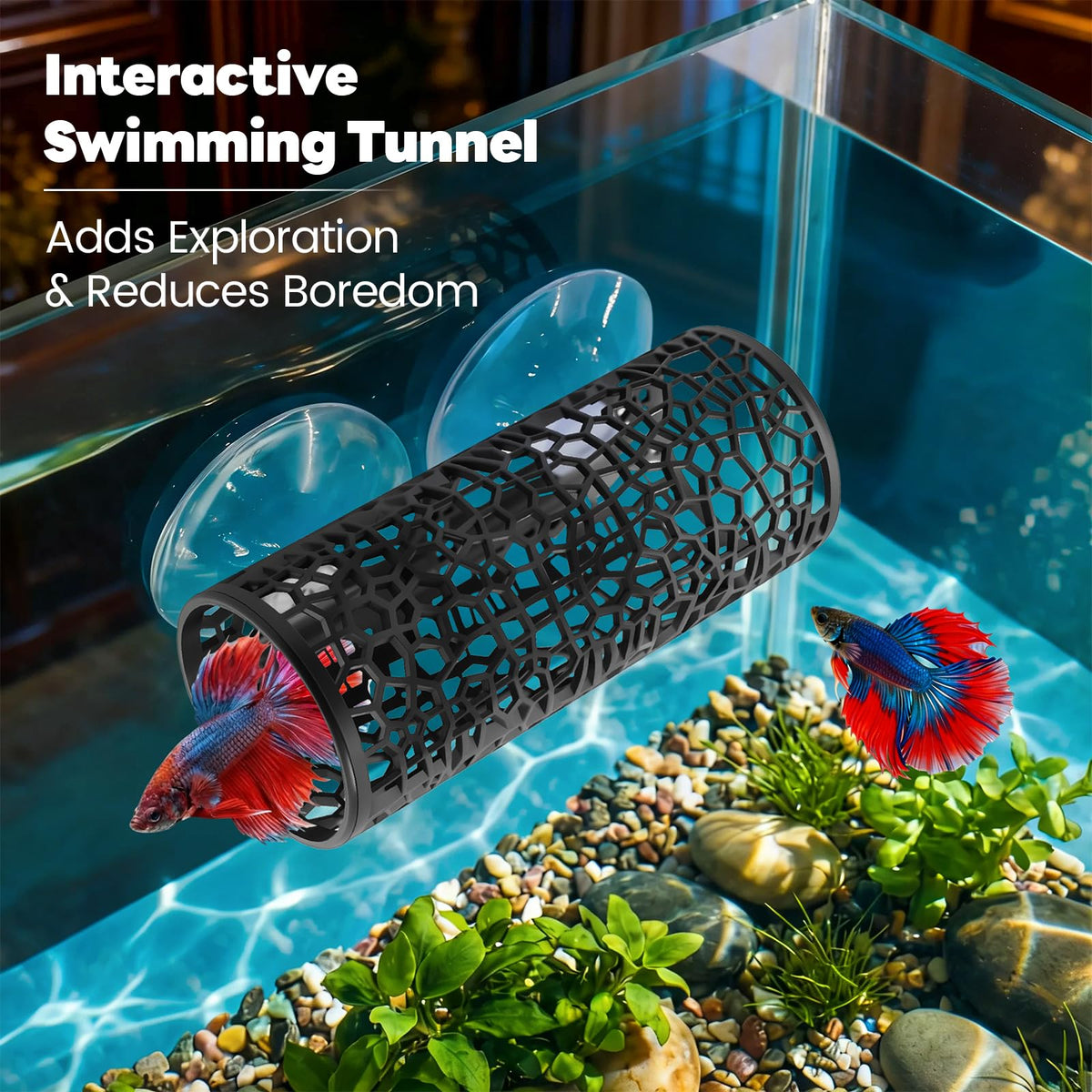 Betta Fish Tunnel Hammock Mirror Floating Ball 2 Training Ring Toys I9460