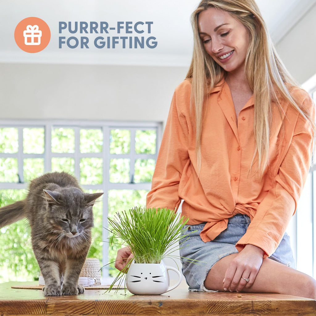 Organic Cat Grass Growing Kit with Seed Mix Soil and White Planter J126452