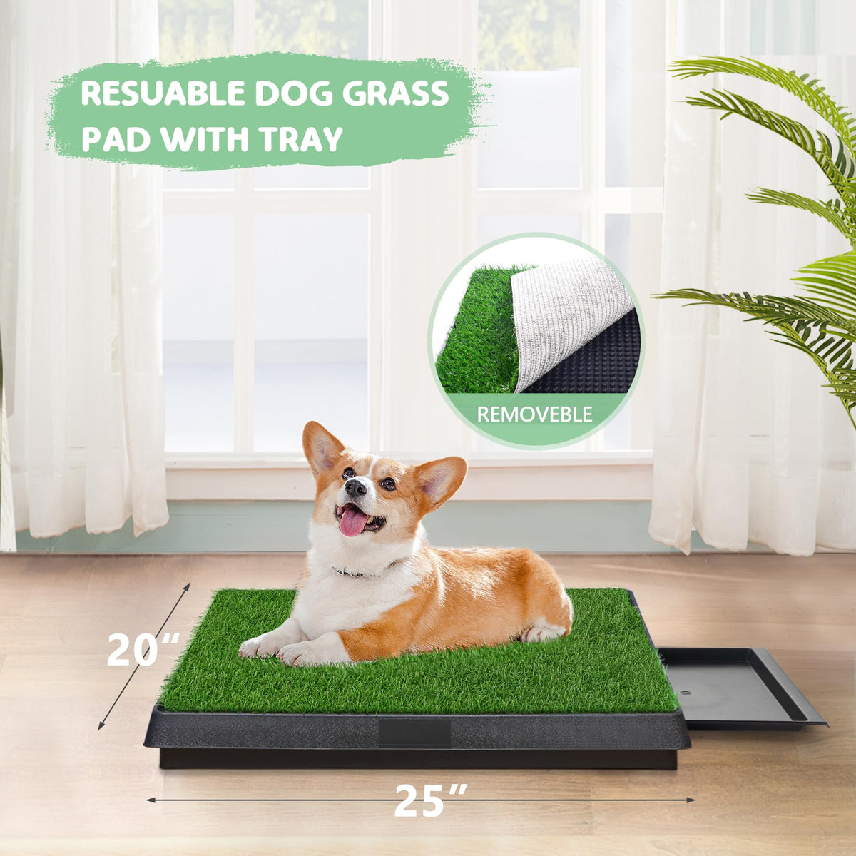 Dog Grass Pad with Tray B3274