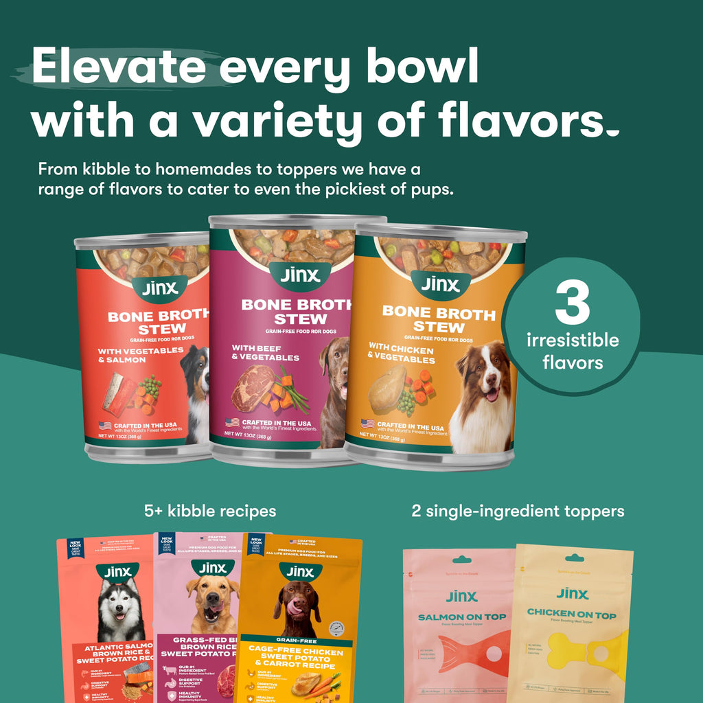Grain Free Beef & Vegetables Wet Dog Food 12 Pack P909679