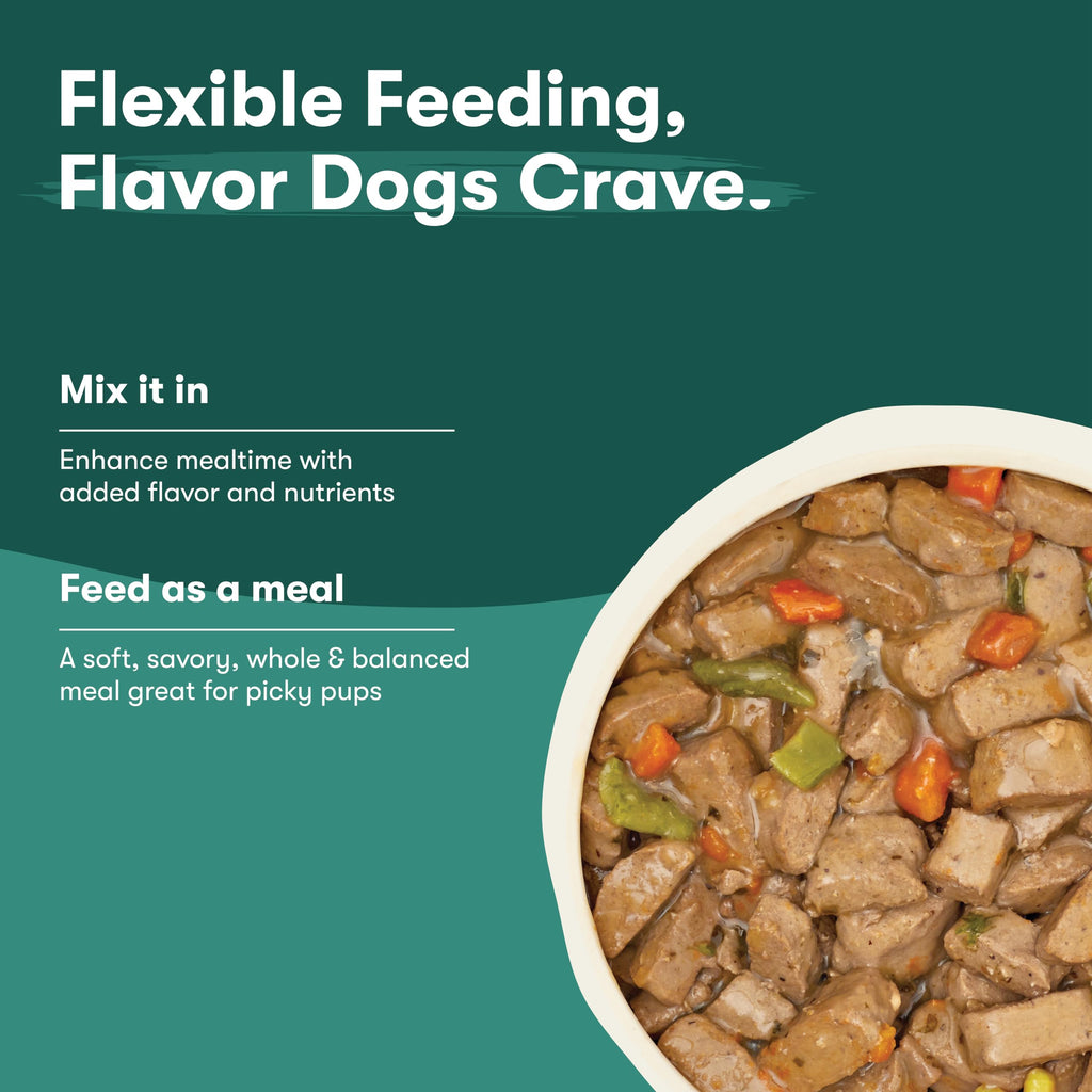 Grain Free Beef & Vegetables Wet Dog Food 12 Pack P909679