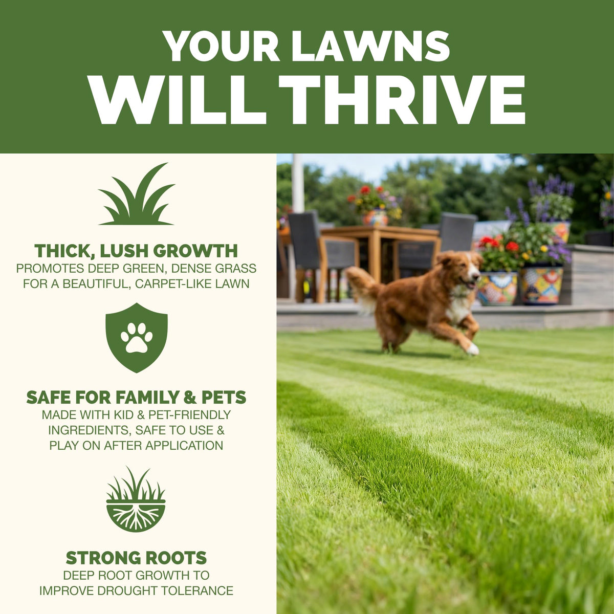 Liquid Lawn Fertilizer 1 Gallon E278