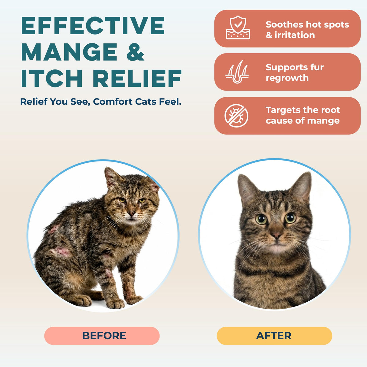 Mange Support for Cats 400 Pills I7912