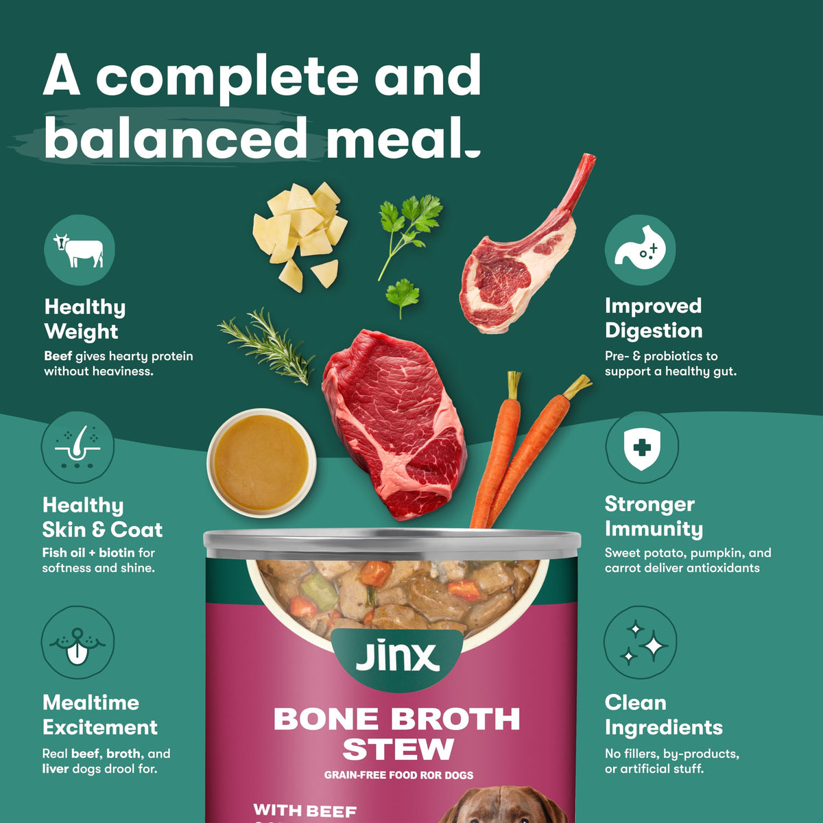 Grain Free Beef & Vegetables Wet Dog Food 12 Pack P909679