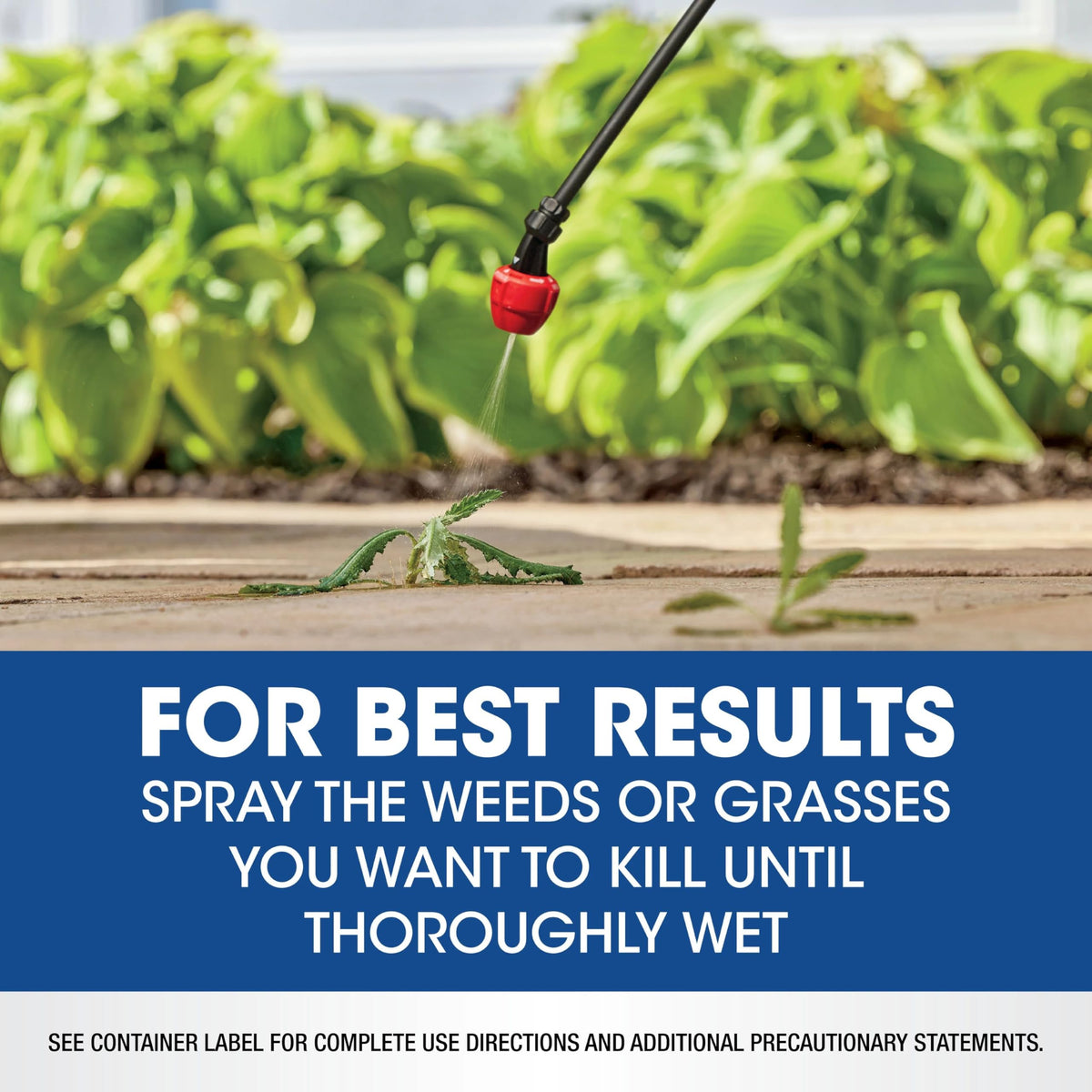 2.5 gal Concentrate Weed & Grass Killer B36400