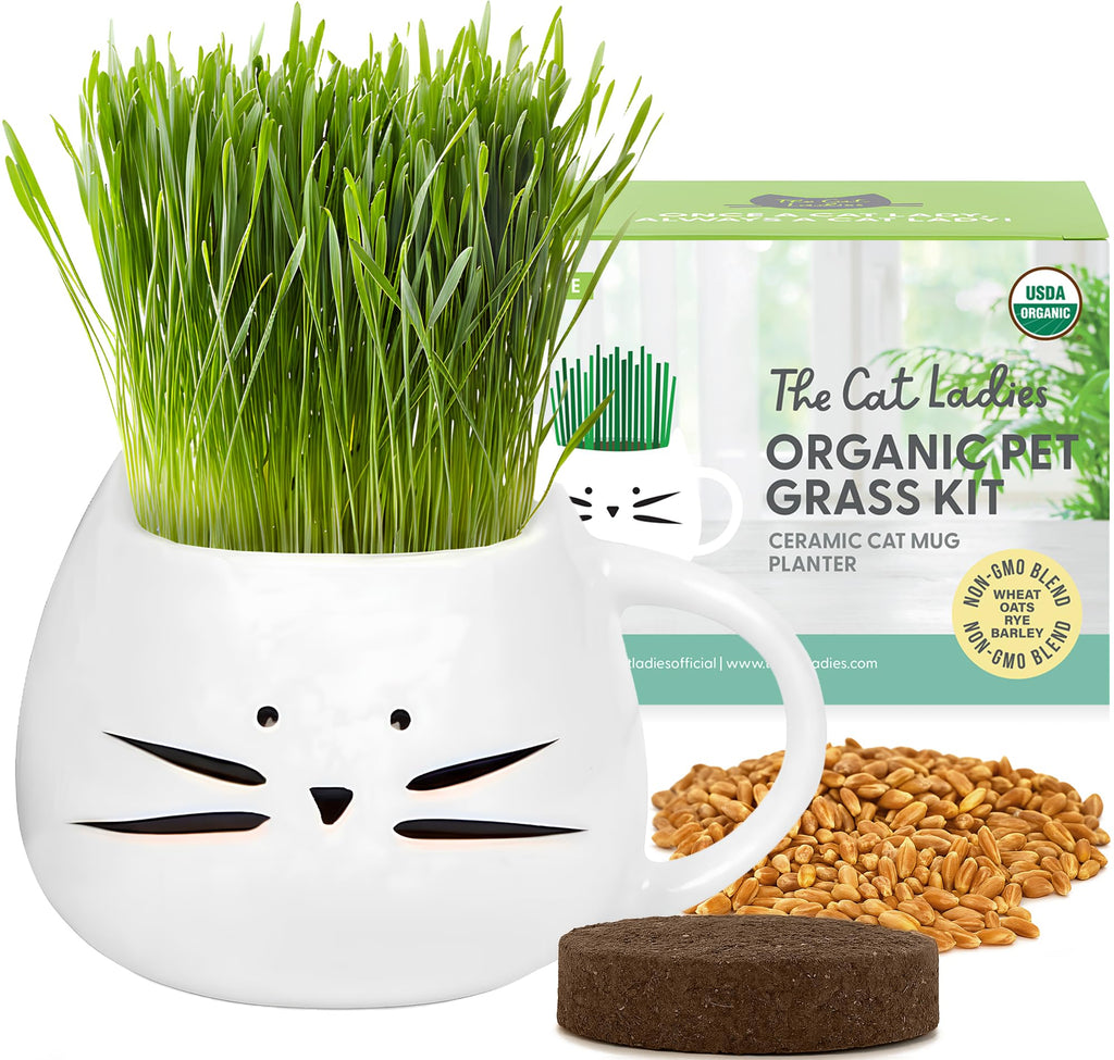 Organic Cat Grass Growing Kit with Seed Mix Soil and White Planter J126452