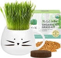Organic Cat Grass Growing Kit with Seed Mix Soil and White Planter J126452