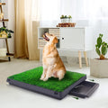 Dog Grass Pad with Tray B3274