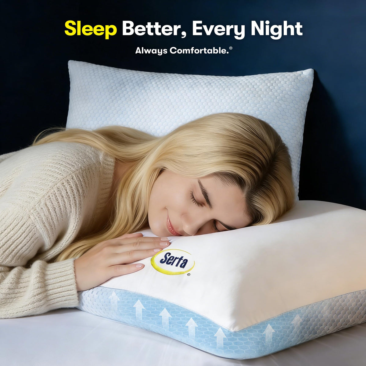 Queen Size Down Alternative Pillows Set of 2 H553981