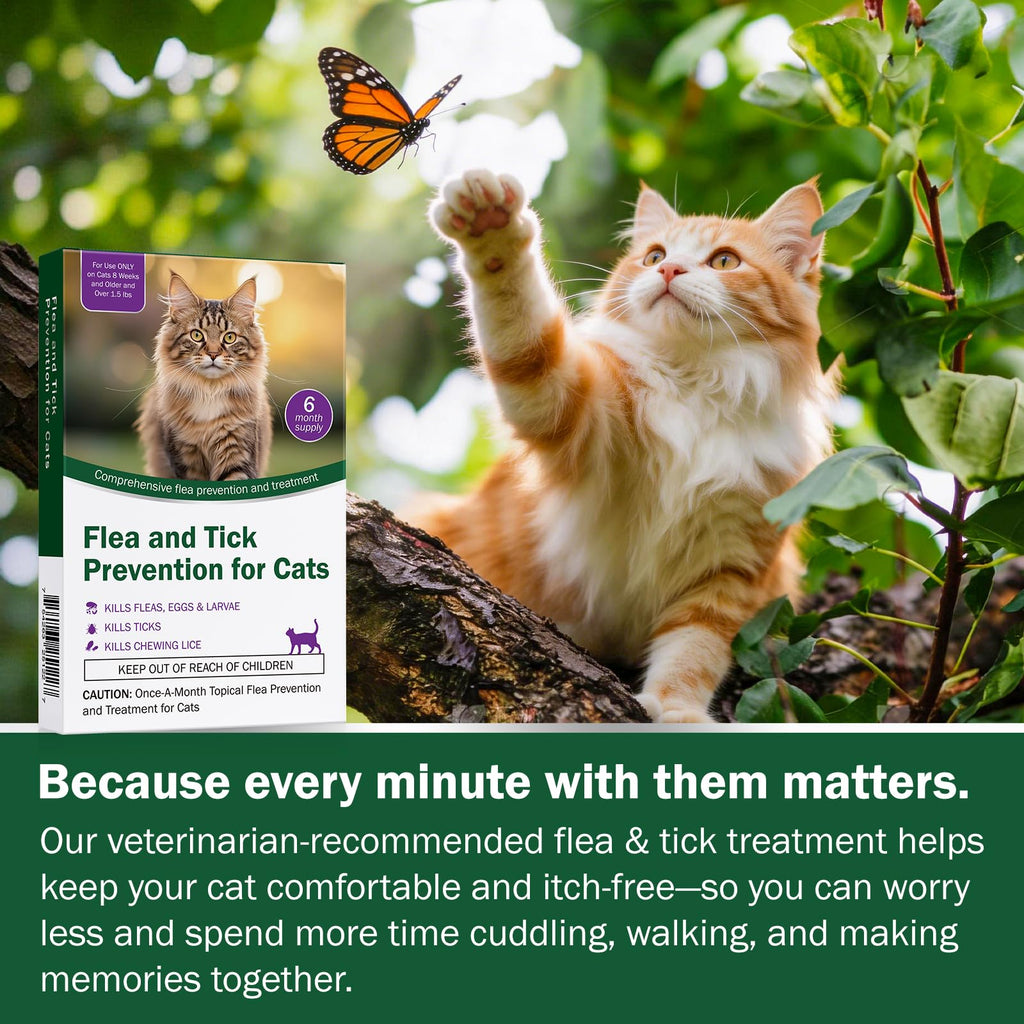 Cat Flea and Tick Prevention 6-Month Supply P95147
