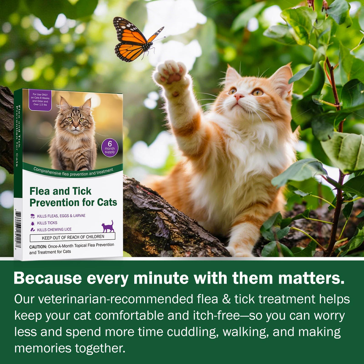 Cat Flea and Tick Prevention 6-Month Supply P95147