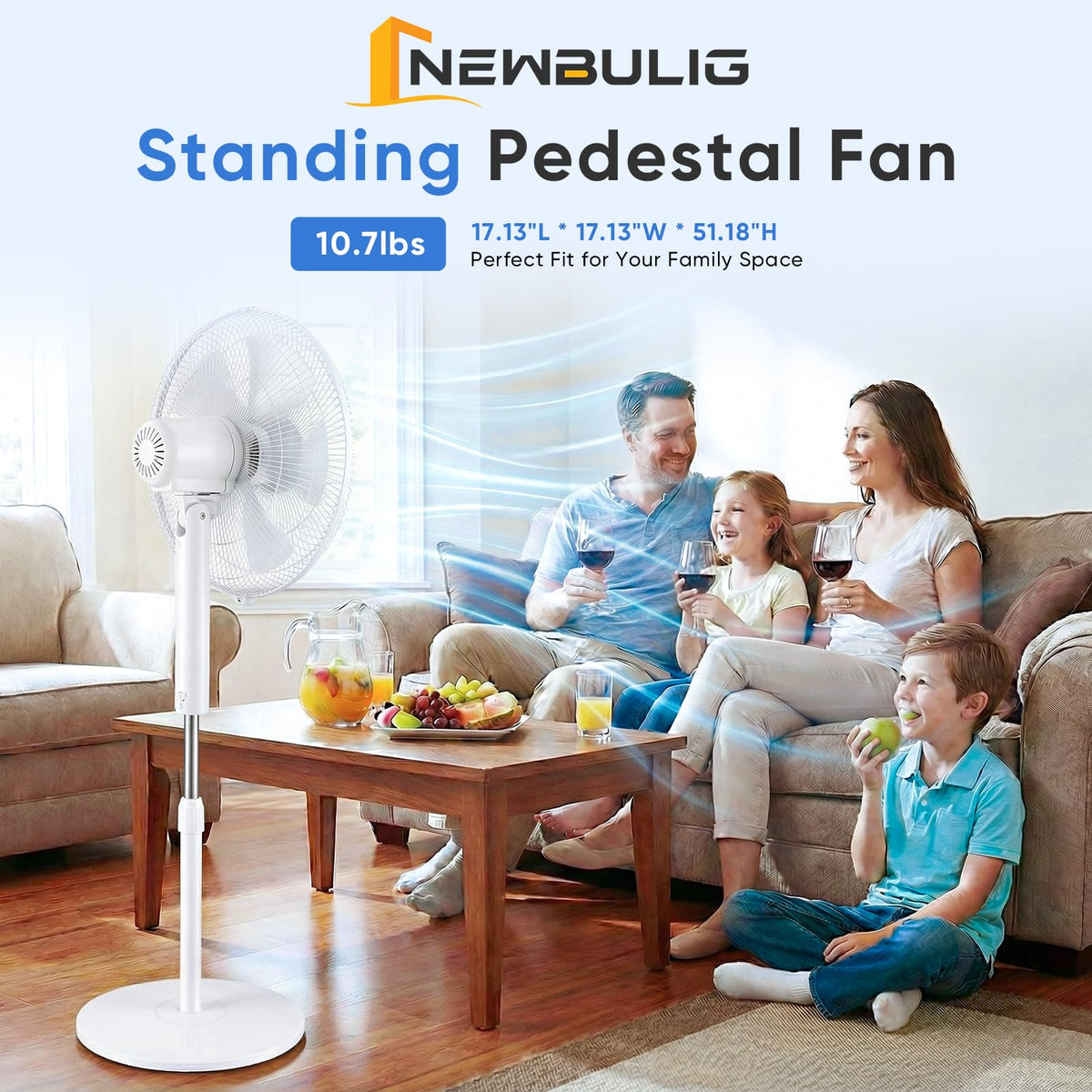 17" Oscillating Pedestal Fan with Remote C55551