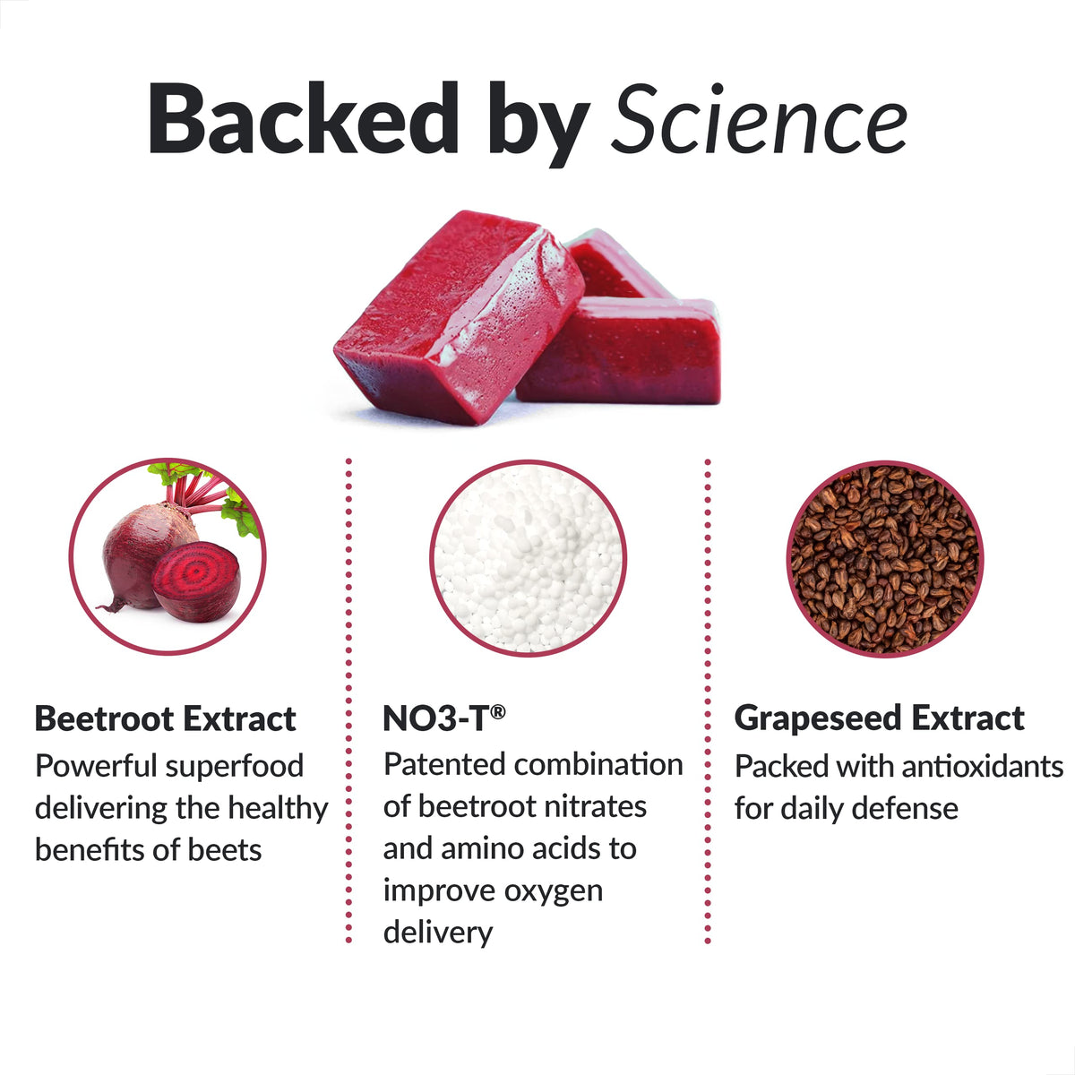 Beet Soft Chews and Turmeric Joint Support Supplement S12213