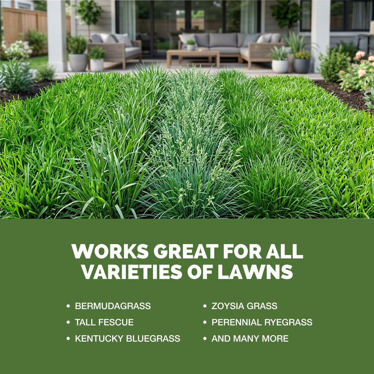 Liquid Lawn Fertilizer 1 Gallon E278